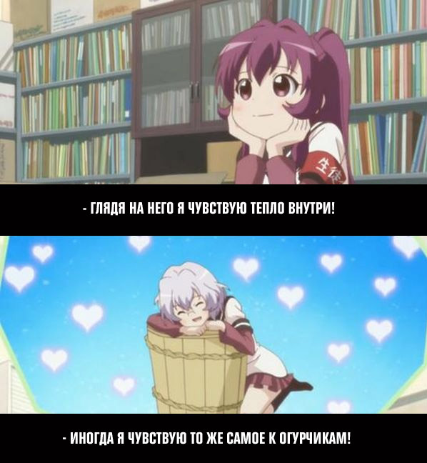 1.jpg 1.jpg
