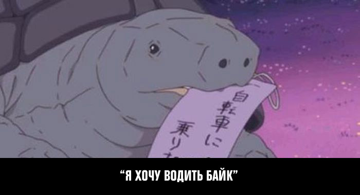 1.jpg 1.jpg